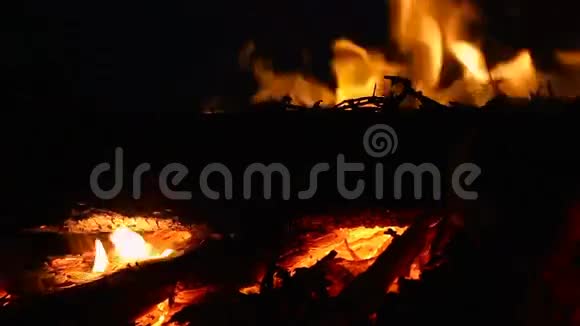 晚上用燃烧的原木和树枝特写篝火视频的预览图