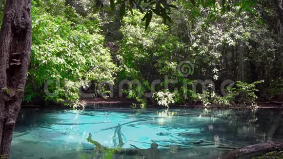 泰国Krabi省的SraMorakot蓝池克拉比著名自然景点视频的预览图