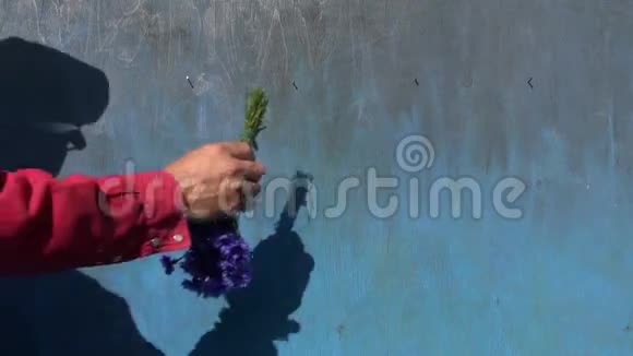 在蓝色的木墙上挂着鲜花和马蹄铁视频的预览图