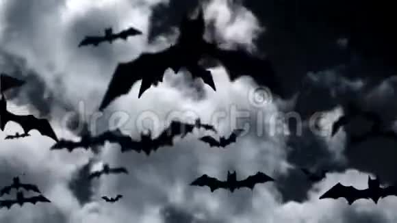 万圣节蝙蝠视频的预览图