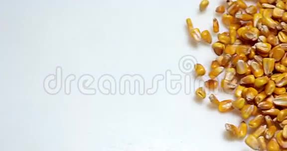 玉米玉米玉米落在白色背景下视频的预览图