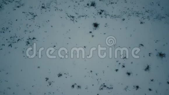 白雪覆盖的空地视频的预览图