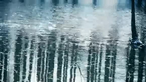 森林倒影在水中波光粼粼白雪皑皑视频的预览图
