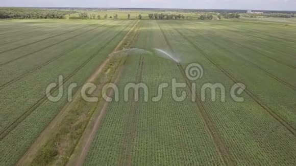 鸟瞰马铃薯地的灌溉机视频的预览图