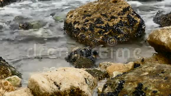 海上岩石视频的预览图