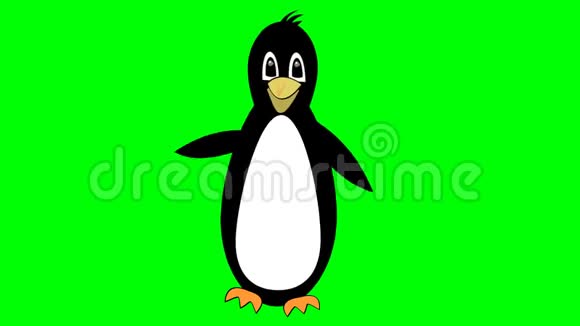 企鹅有趣的吉祥物卡通在绿色屏幕上跳舞动画鸟脸可爱的眼睛动作视频的预览图
