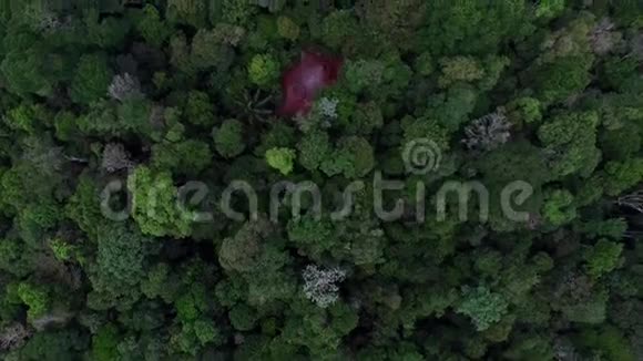 巴西亚马逊森林的旋转鸟瞰图视频的预览图