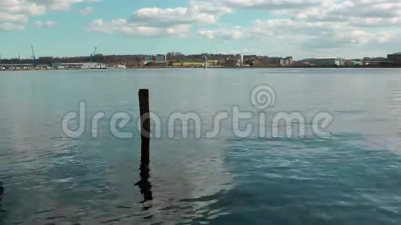 基尔运河淘沙德国海鸥休息视频的预览图