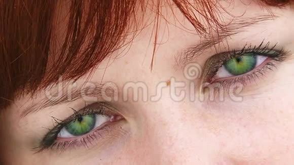 年轻女性美丽的绿眼睛视频的预览图