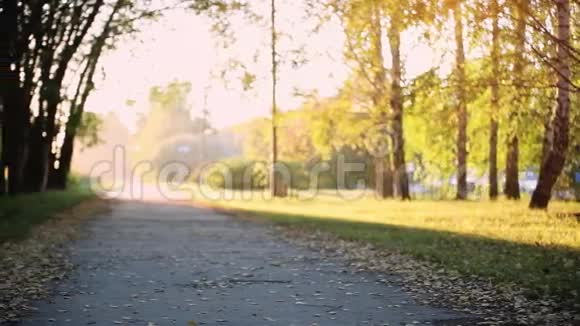 在秋天的一个金色的森林景观背景下阳光透过树木照射在小径上镜头耀斑视频的预览图