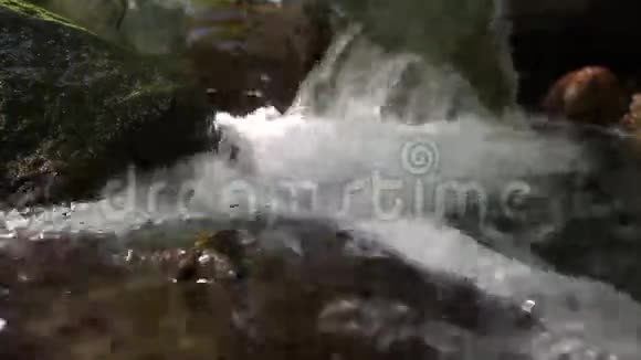 罗马尼亚古森林清洁河细节2视频的预览图
