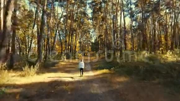 女孩在阳光明媚的早晨森林里奔跑体育运动视频的预览图