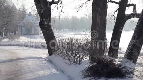 冬季公园的除雪设备视频的预览图