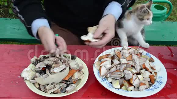 男人剪橘红色的帽子蘑菇猫坐在膝盖上走路视频的预览图