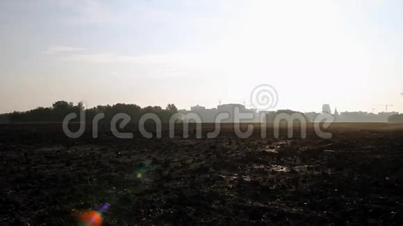 耕田清晨的水汽笼罩大地黎明视频的预览图