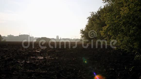 耕田清晨的水汽笼罩大地黎明视频的预览图