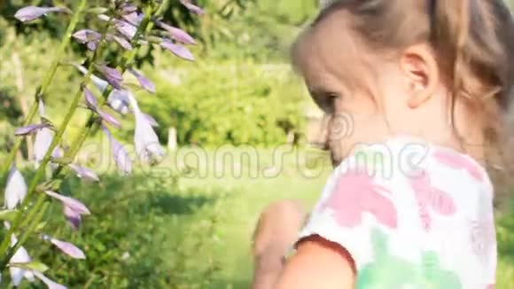 女孩玩一朵花看着相机孩子的大眼睛视频的预览图