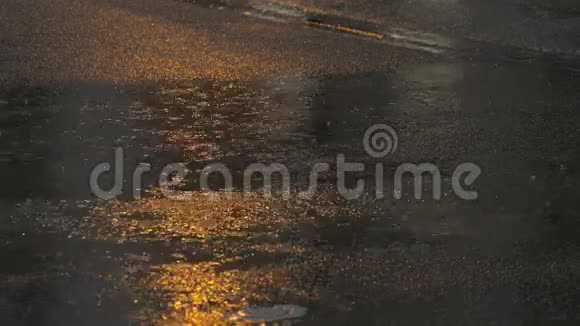 市区大雨慢动作视频的预览图