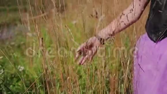 女孩走过高高的干草推着她的手美丽的电影框架视频的预览图