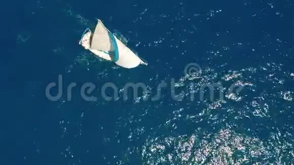 空中观景晴天在公海上航行的游艇帆船视频的预览图