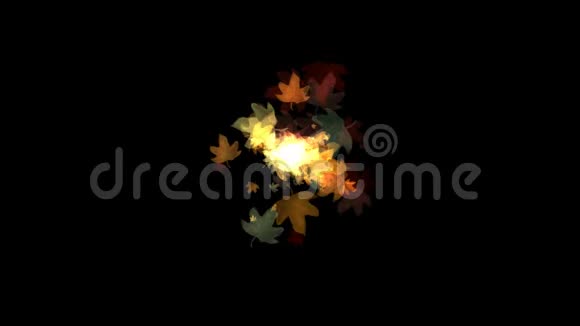 秋天的树叶在黑色的背景上移动视频的预览图