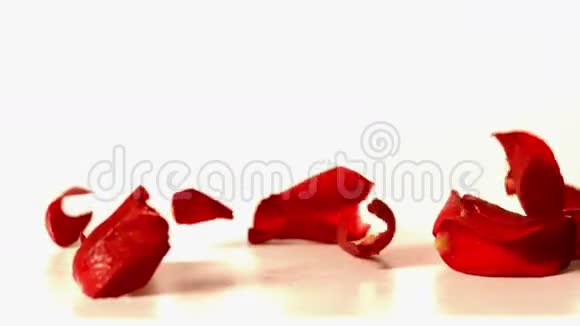 红色玫瑰花瓣飘落在白色表面视频的预览图