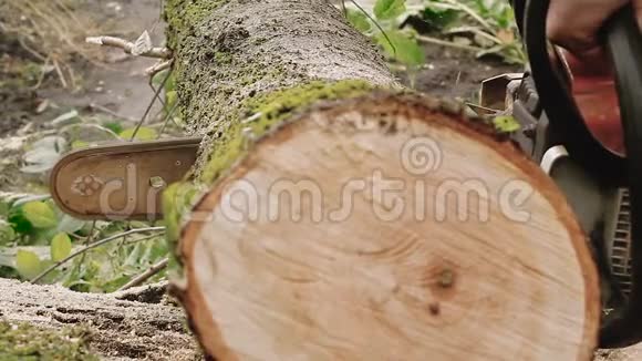 用电锯切割木材视频的预览图