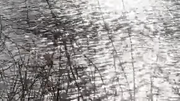 水反射银水面涟漪背景视频的预览图