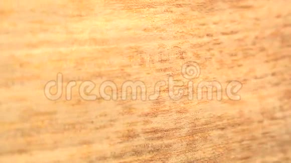 完美循环四季木切视频的预览图
