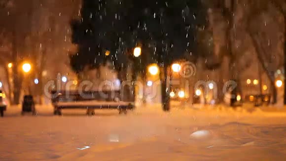 城市公园的冬季夜晚视频的预览图