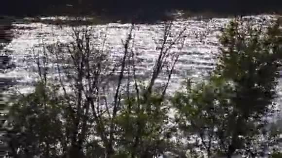 阳光照耀下美丽湖泊的景观绿树枝中的风视频的预览图