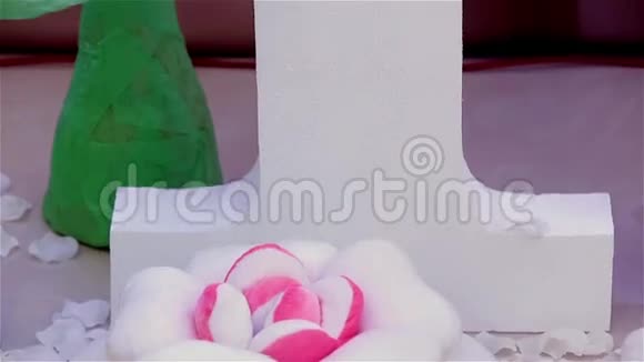 一号带冠的粉色背景视频的预览图