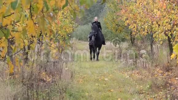穿着黑色衣服骑着黑马的女孩视频的预览图