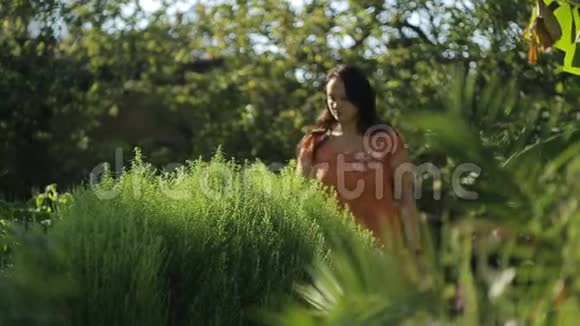 在一个阳光明媚的日子里一个美丽的年轻旅游女孩的肖像时尚的女人穿过森林背景是视频的预览图