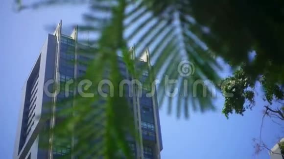 绿树背景下的蓝色建筑视频的预览图