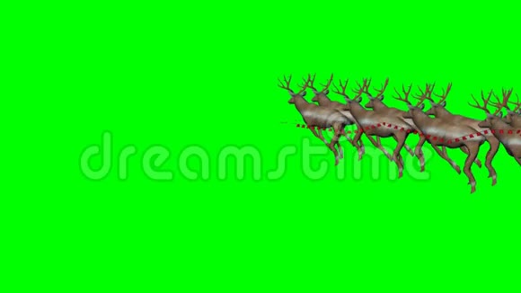 圣诞老人与动画的驯鹿4种不同的视图绿色屏幕视频的预览图