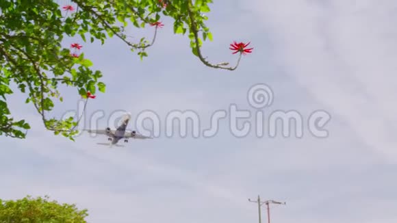 飞机着陆飞机接近视频的预览图
