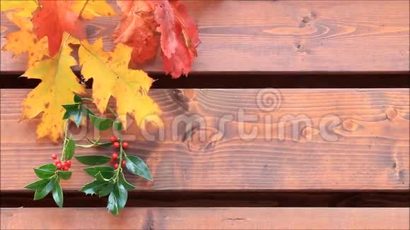 背景棕色木墙秋叶视频的预览图