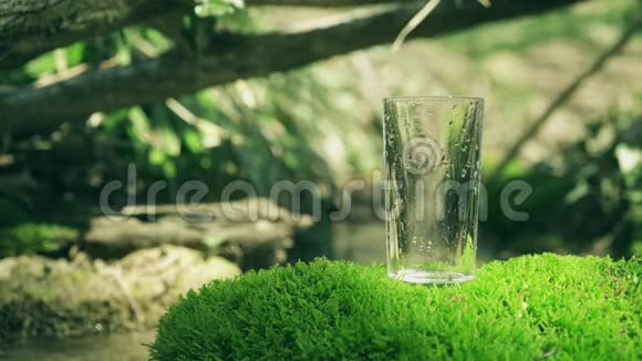 水涌入玻璃矗立在苔藓的岩石上弹簧流在软关注背景纯净的生态水视频的预览图