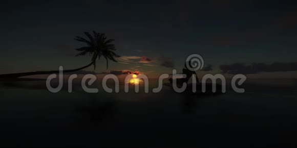 日落背景下的日光浴女性日落时蓝色热带海洋的高品质完美3D动画海鸥视频的预览图