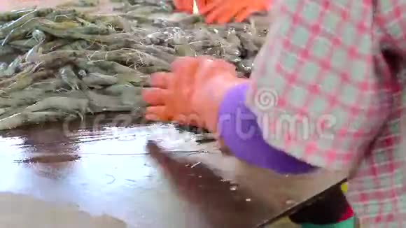 工人用黄桶从冰桶里取出虾视频的预览图