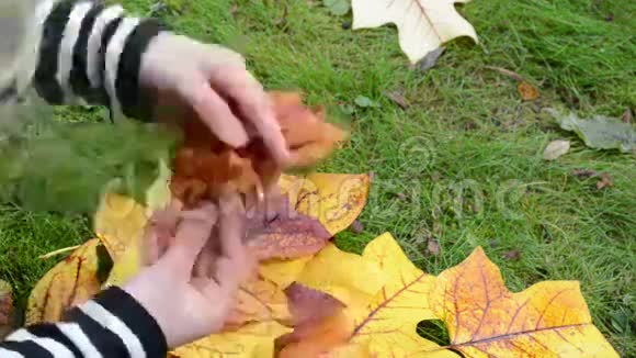 加快女人的手做装饰花秋树叶视频的预览图
