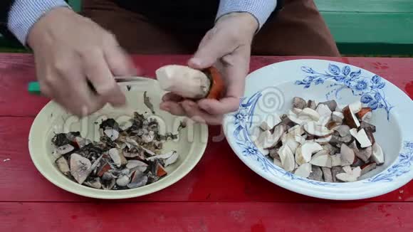 手切桔盖牛肝菌菇两把半刀视频的预览图