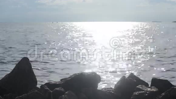 日落时分乌鸦在海边的岩石上跳跃视频的预览图