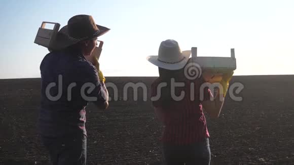 红脖子农民生态农业团队合作农业一个概念是工作收获生态农业慢动作视频一支队伍视频的预览图