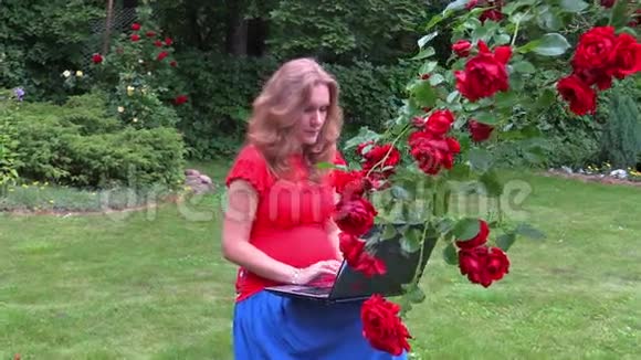 孕妇坐在玫瑰花丛附近用电脑工作视频的预览图