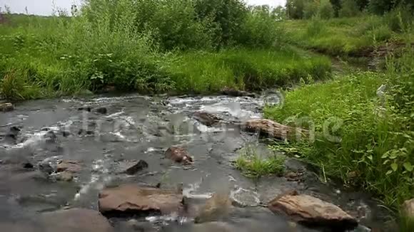河流景观底部有岩石的小河视频的预览图