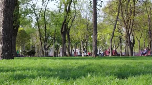 城市公园的游客时间流逝视频的预览图