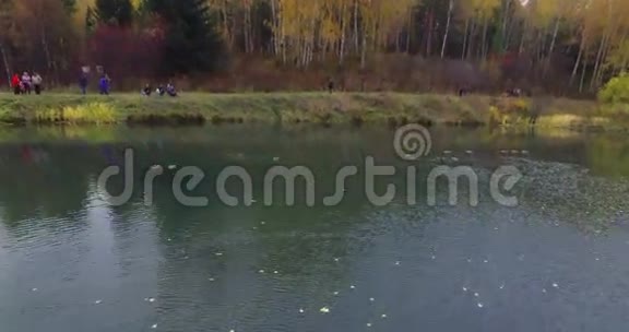在湖上游来游去的野鸭上面飞视频的预览图