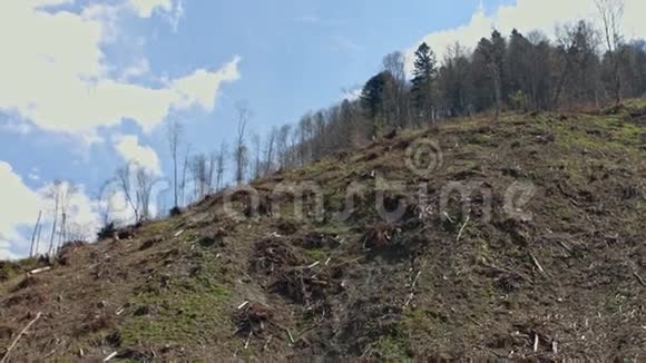 喀尔巴阡山脉砍伐树木的森林视频的预览图